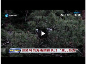 繁殖完整版在线观看,完整版繁殖纪录片在线观看之旅