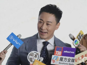 林峰老婆个人资料,揭秘明星夫妇的甜蜜生活与爱情故事